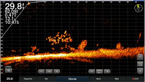 Garmin LiveScope