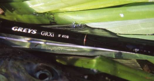 Greys Grxi Fly